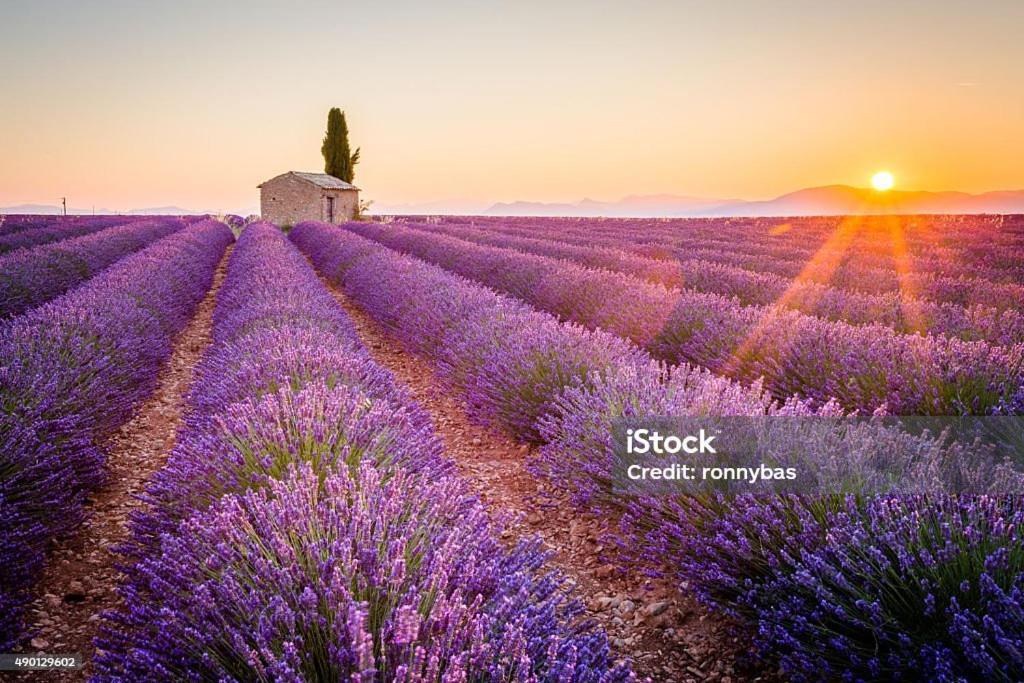 En Provence 2 T3 Jardin Clos Et